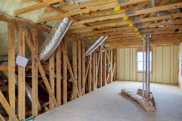 Best Types of Insulation in Basile, LA
