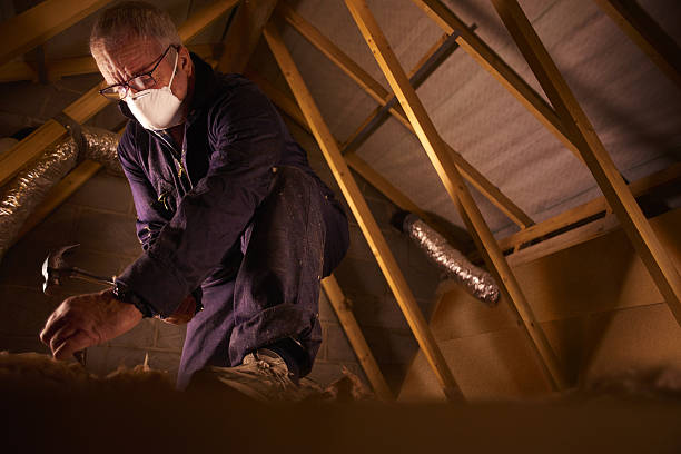 Best Insulation for Specific Applications in Basile, LA