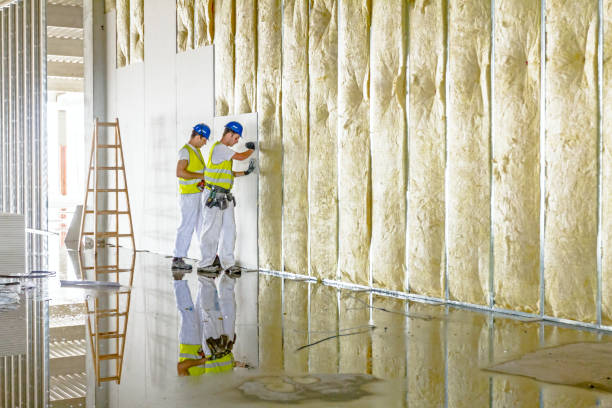 Best Insulation Installation Services in Basile, LA